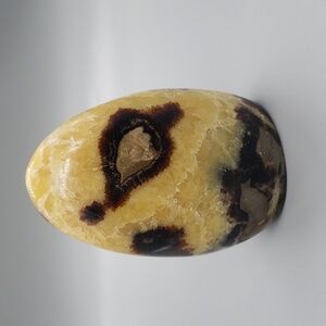 Gorgeous Septarian Freeform Crystal